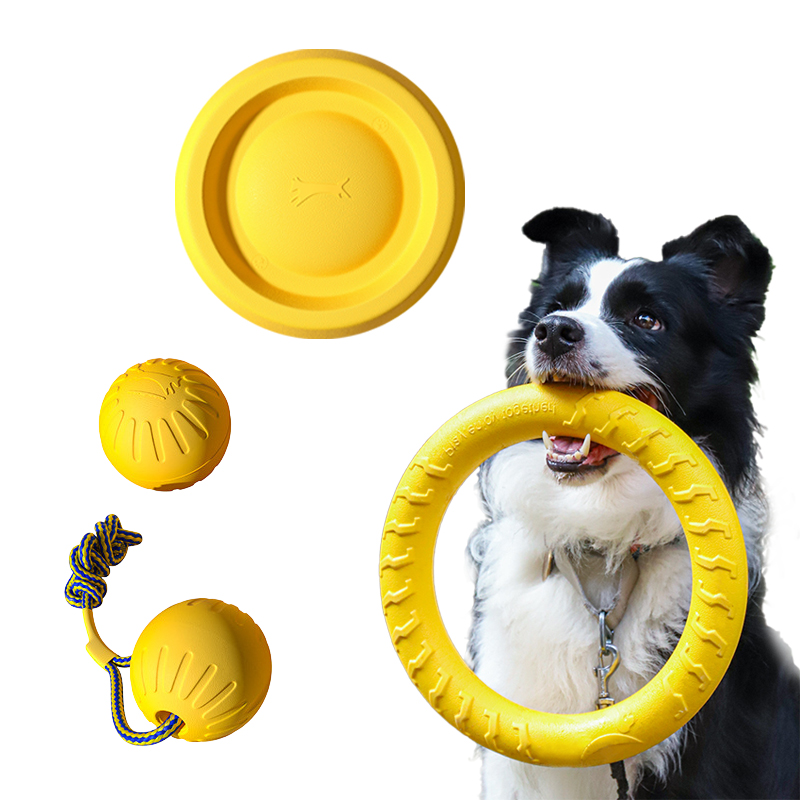 Pet Dental Chew Toy - Giocattoli per cani durevoli in EVA