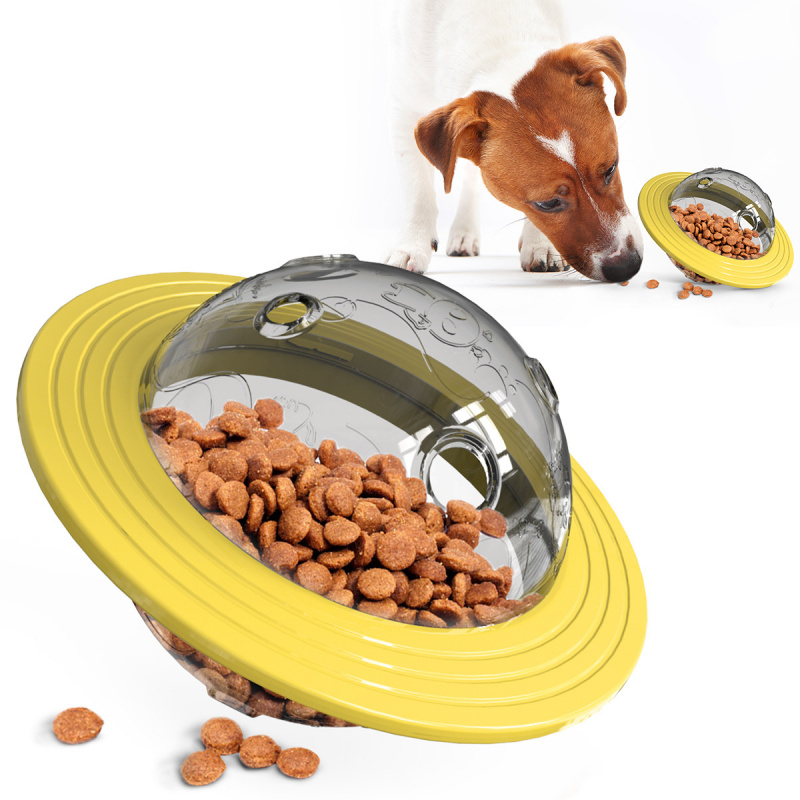 Pet Supplies In Amazon - Articoli per animali domestici: Giocattoli per
