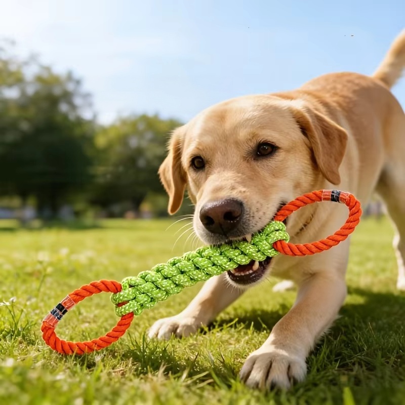 Pet Dental Chew Toy - Giocattolo per Cani in Corda di