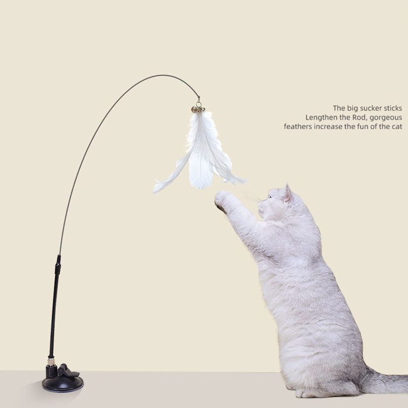 Pet Supplies In Amazon - Nuovo potente bastoncino per stuzzicare i