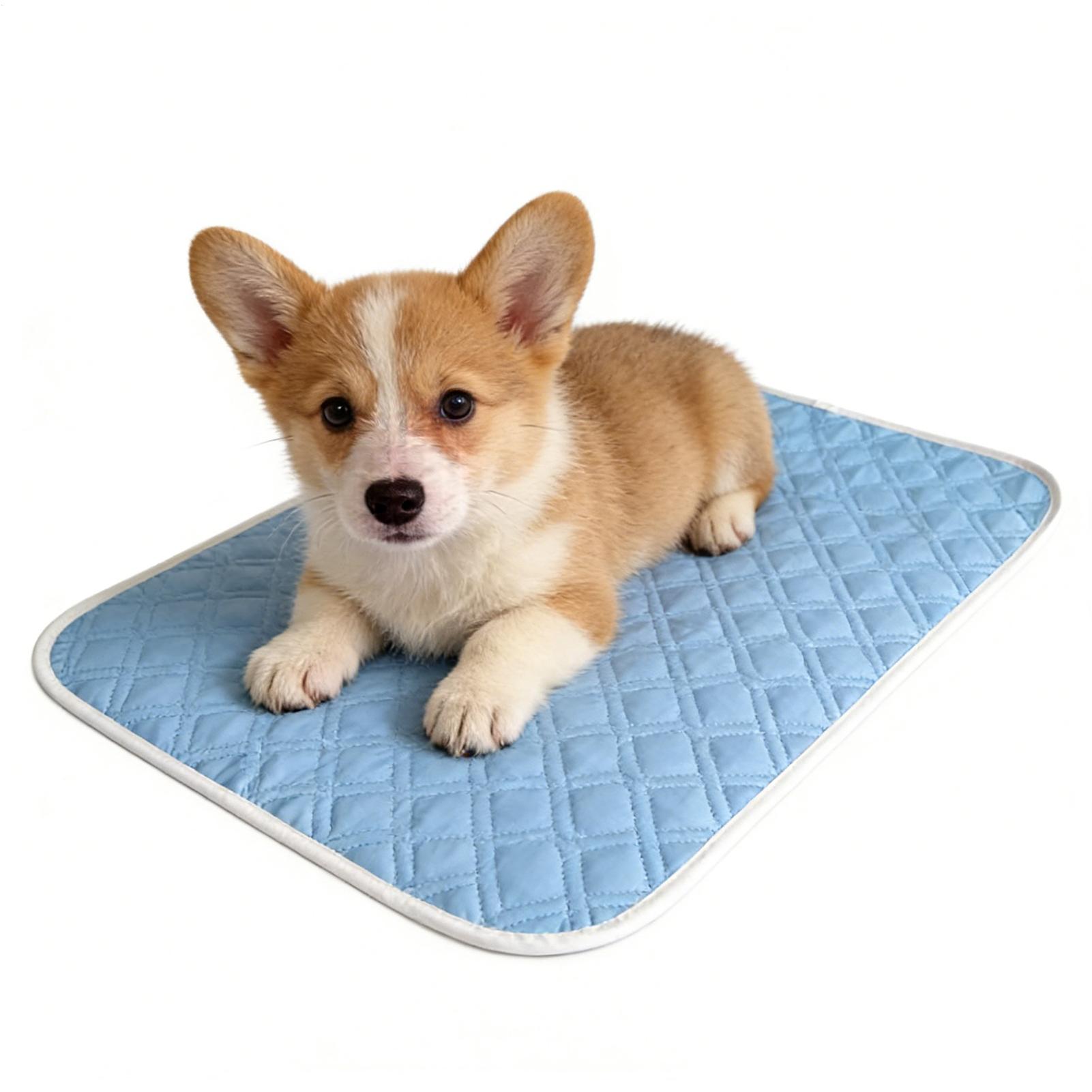 Pet Supplies Self Wash - Tappetino rinfrescante estivo 35x45cm per cani