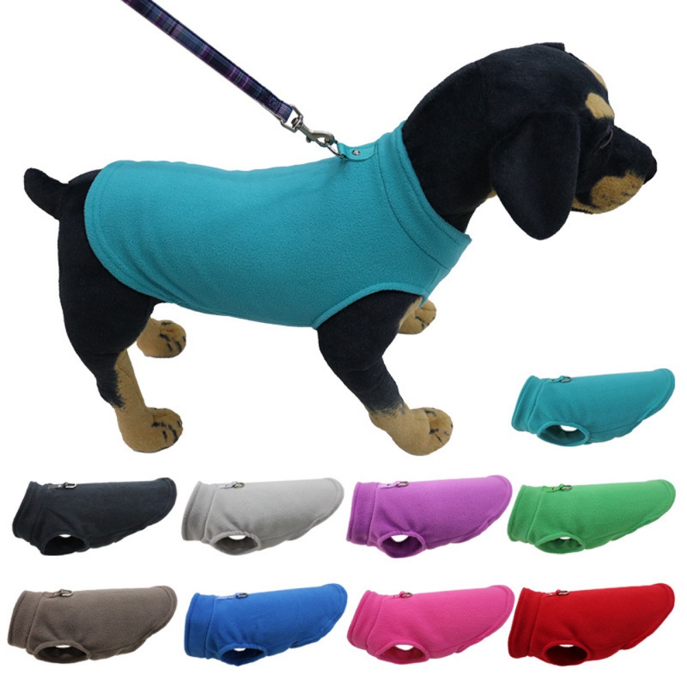 Pet Supplies In Amazon - Europa, America, Amazon vestiti per animali