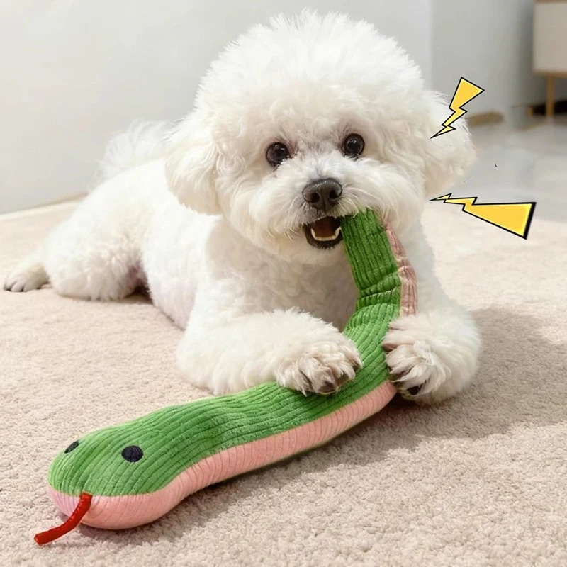 Giocattolo per Cani e Gatti da - Pet Dental Chew Toy recensione e prezzo