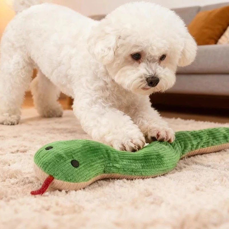 Giocattolo per Cani e Gatti da - Pet Dental Chew Toy recensione e prezzo