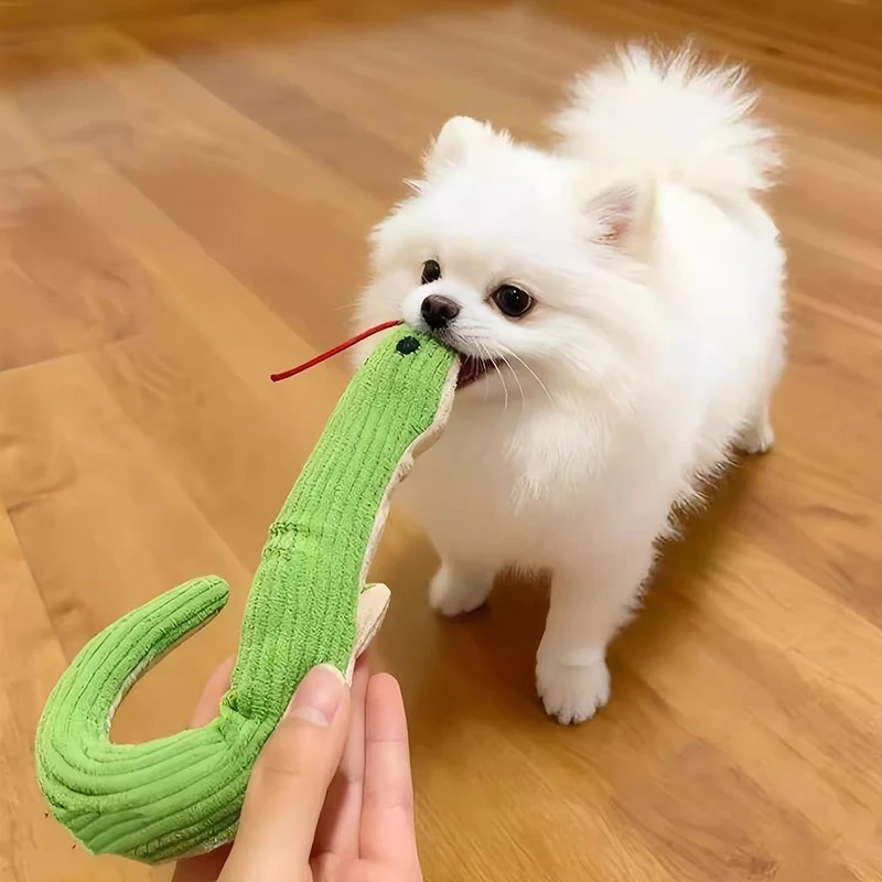 Giocattolo per Cani e Gatti da - Pet Dental Chew Toy recensione e prezzo