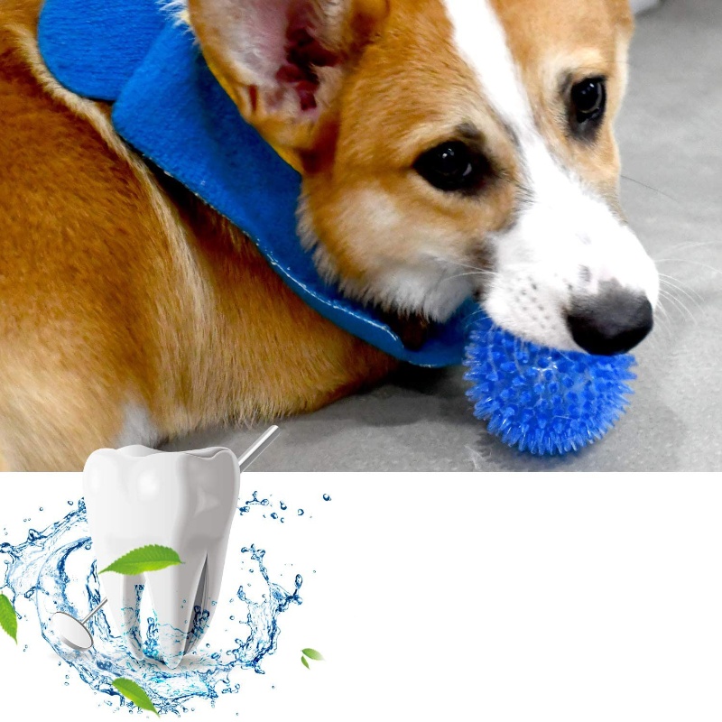 Palla giocattolo per animali d - Pet Dental Chew Toy recensione e prezzo