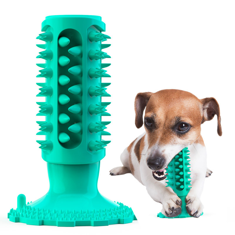 Giocattolo per cani con ventos - Pet Supplies In Amazon recensione e prezzo