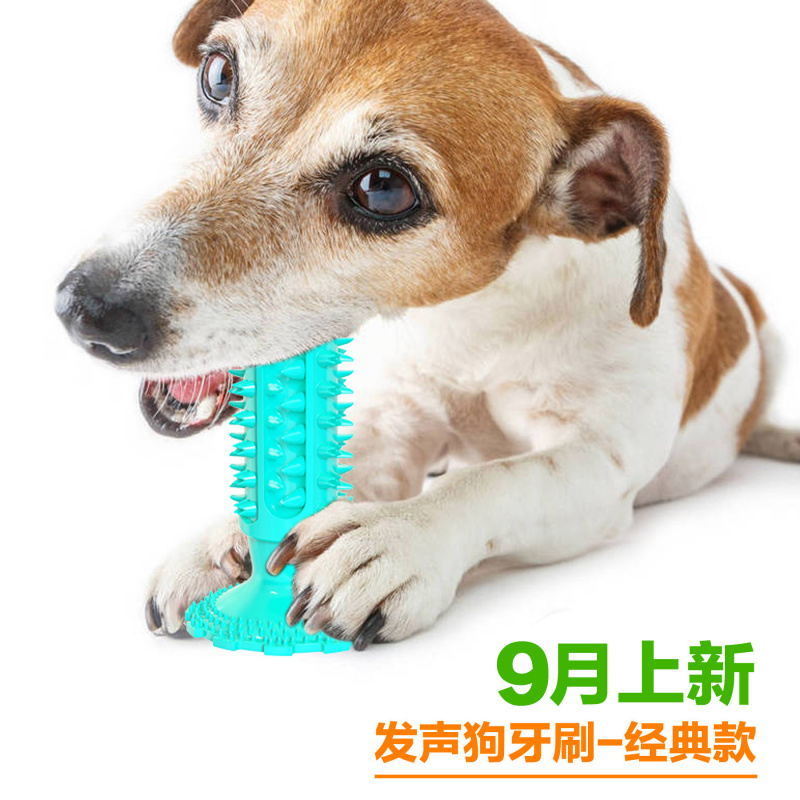 Giocattolo per cani con ventos - Pet Supplies In Amazon recensione e prezzo