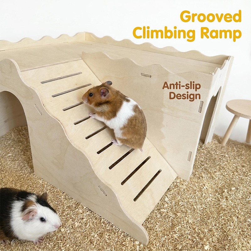 Giocattoli in Legno per Cricet - Pet Supplies In Amazon recensione e prezzo