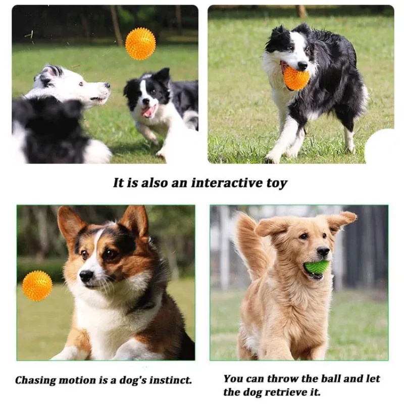 Giocattolo da Masticare per Ca - Pet Dental Chew Toy recensione e prezzo