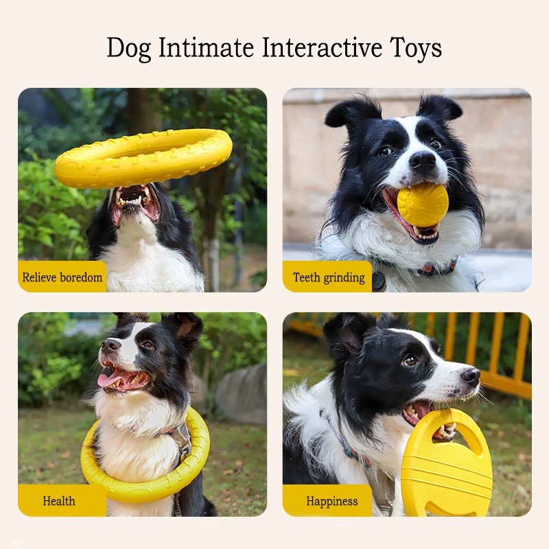 Giocattoli per cani durevoli i - Pet Dental Chew Toy recensione e prezzo