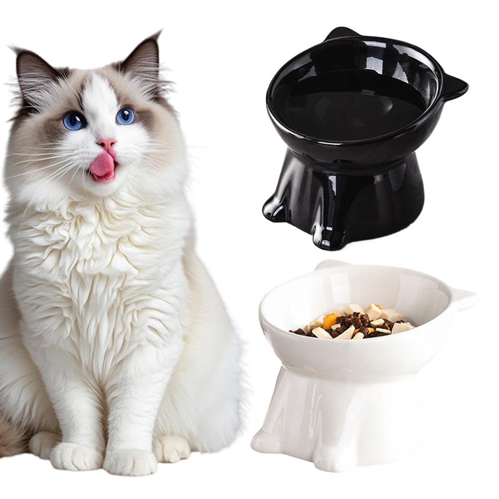 Ciotola per gatti nera Amazon, - Pet Supplies In Amazon recensione e prezzo