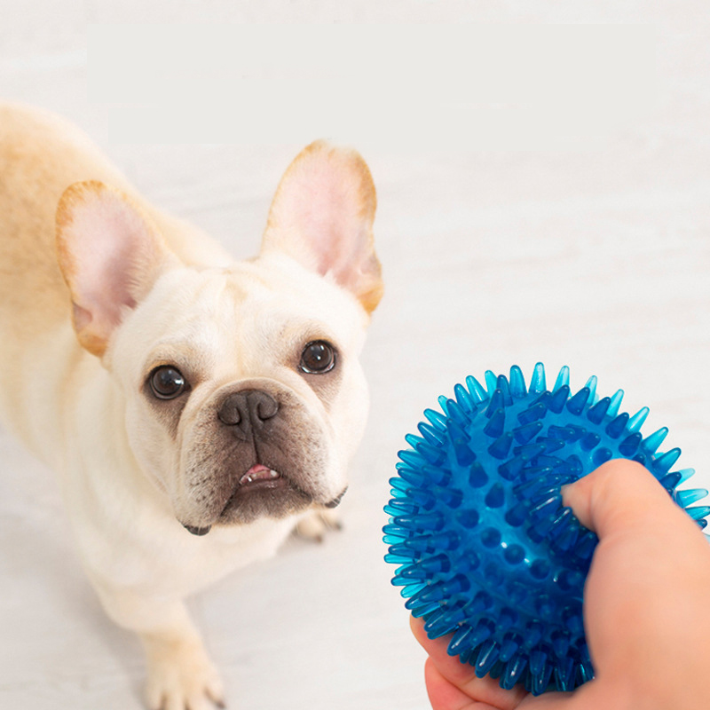 Bulldog francese ad alta elast - Pet Dental Chew Toy recensione e prezzo