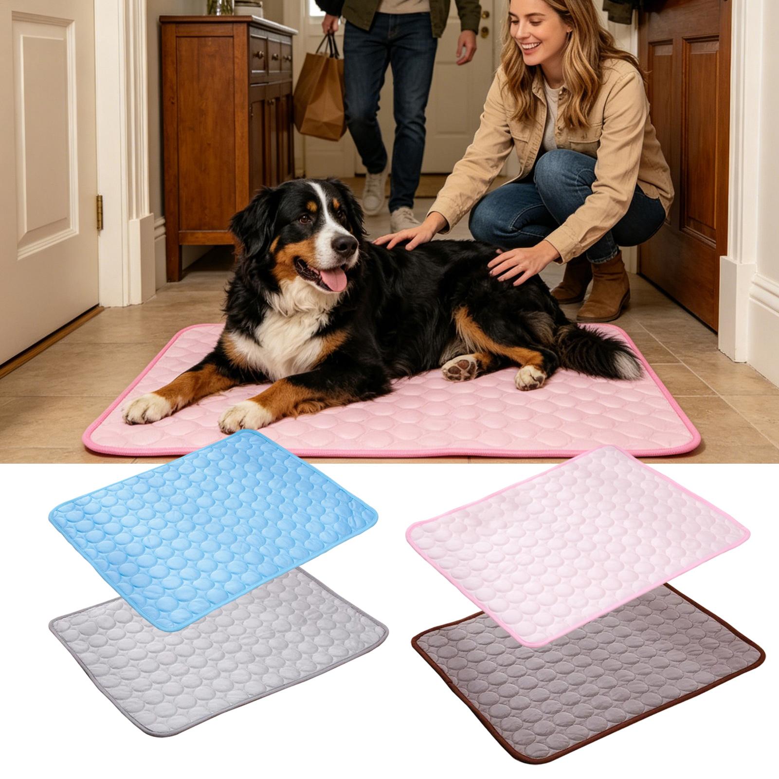 Tappetino rinfrescante estivo  - Pet Supplies Self Wash recensione e prezzo