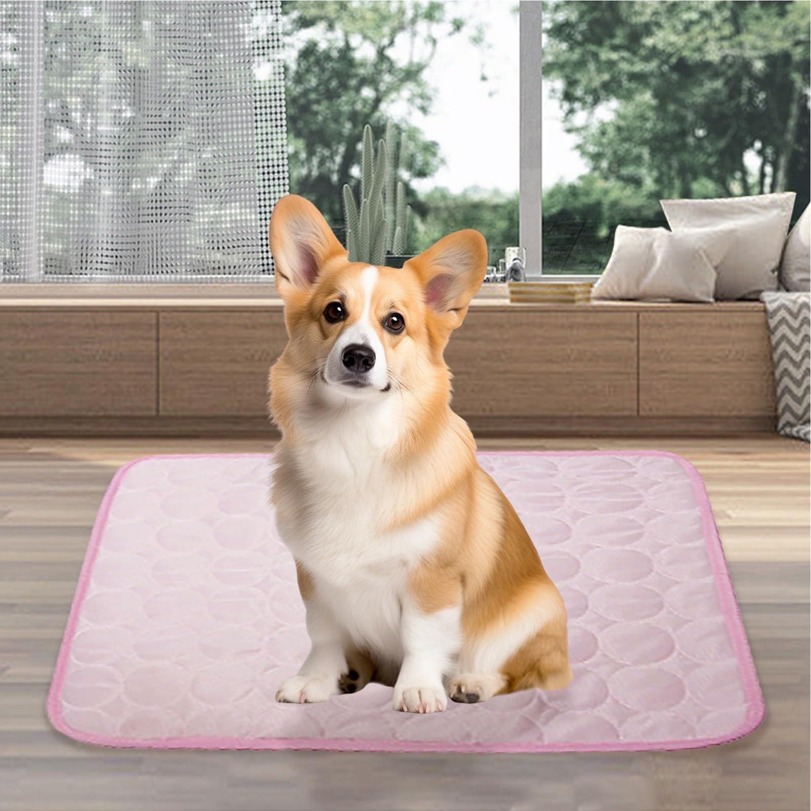 Tappetino rinfrescante estivo  - Pet Supplies Self Wash recensione e prezzo