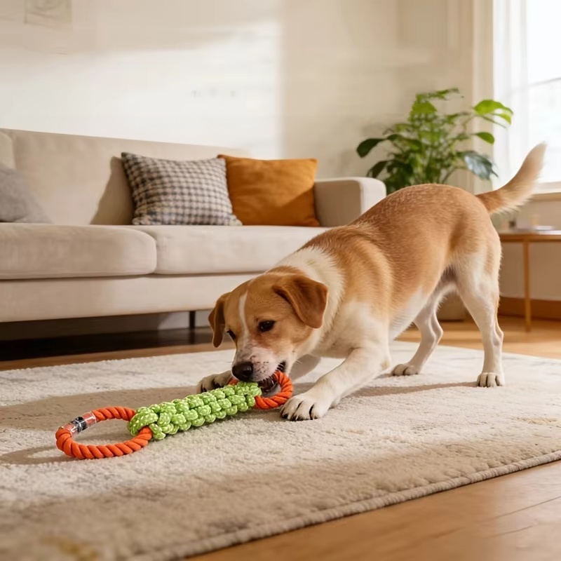 Giocattolo per Cani in Corda d - Pet Dental Chew Toy recensione e prezzo