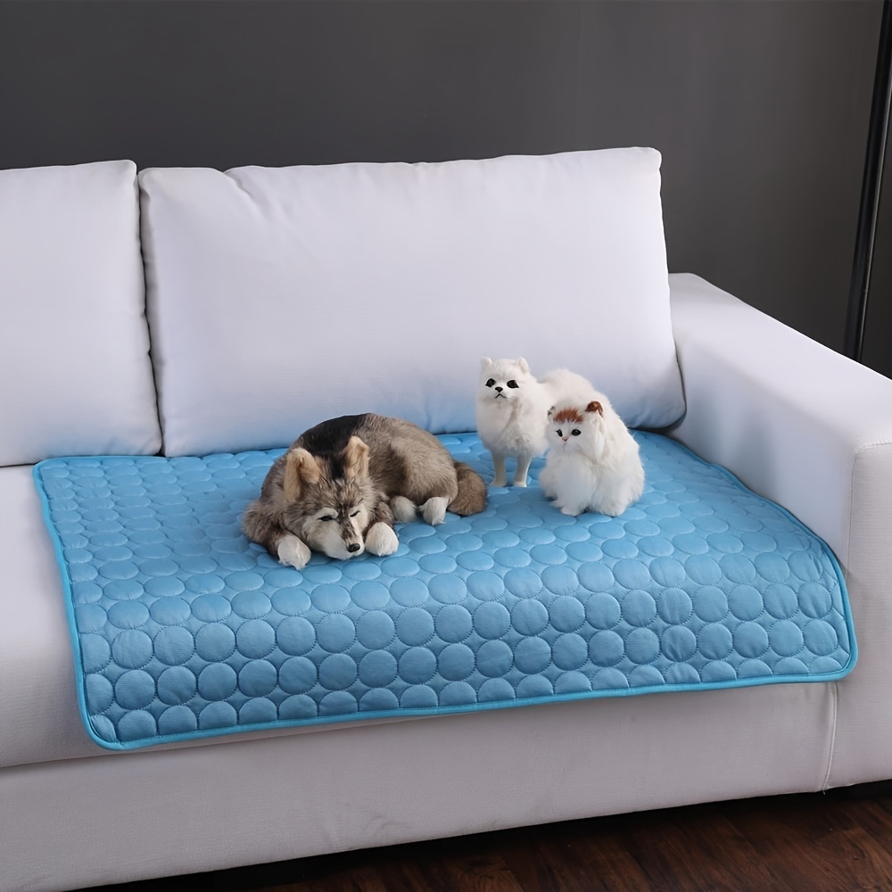 Cuccia per cani tappetino rinf - Pet Supplies Self Wash recensione e prezzo
