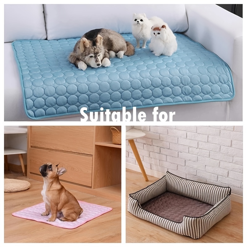Cuccia per cani tappetino rinf - Pet Supplies Self Wash recensione e prezzo