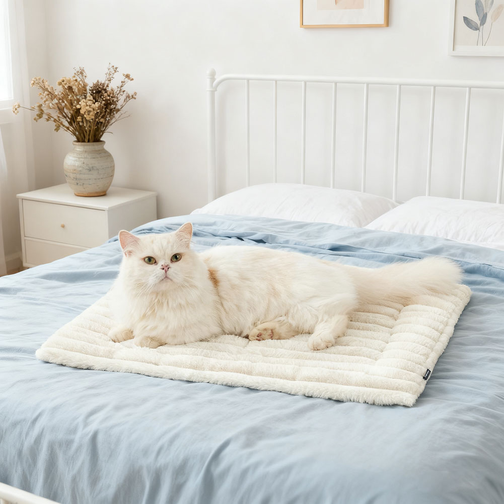 Tappetino per cani gatto autor - Pet Supplies Self Wash recensione e prezzo