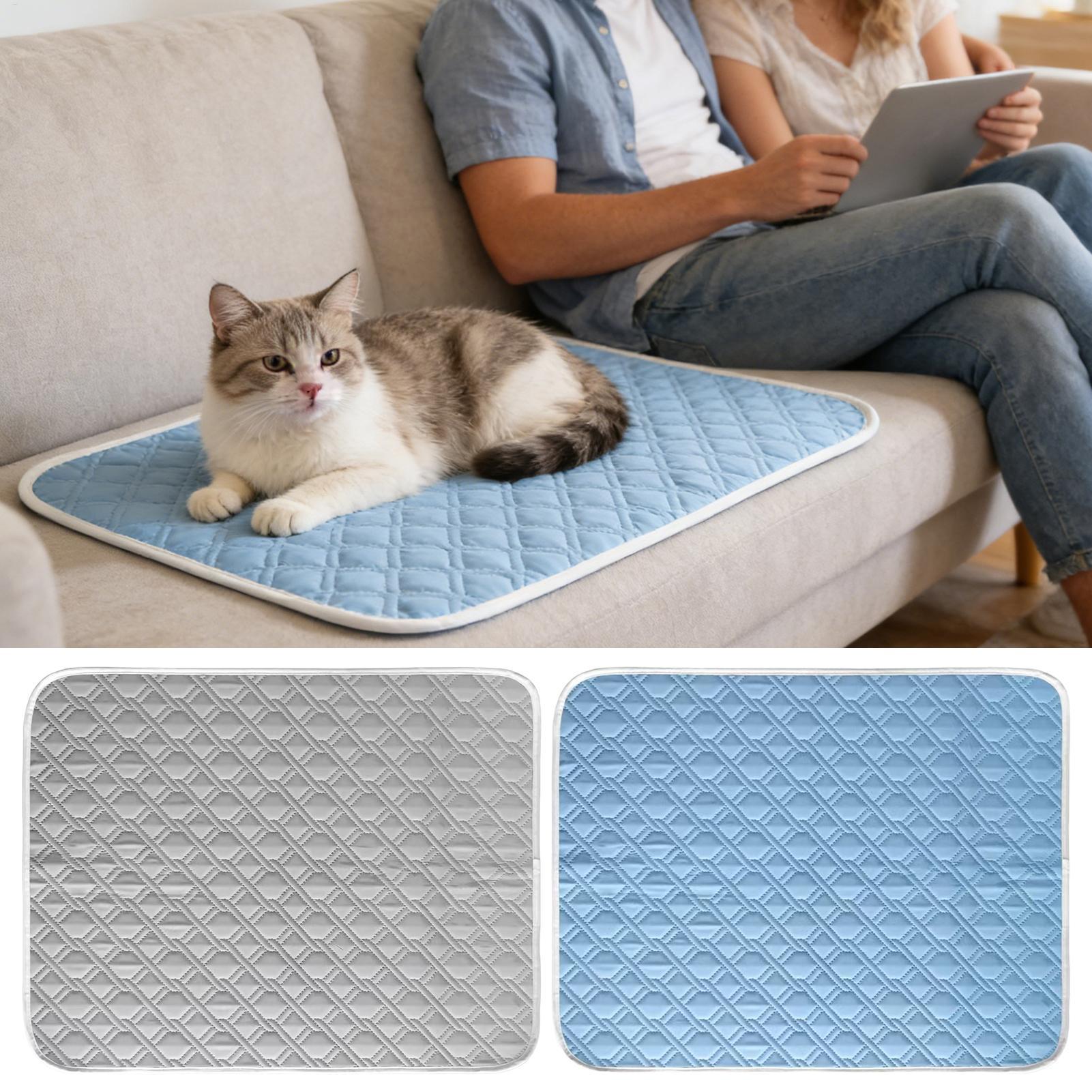 Tappetino rinfrescante estivo  - Pet Supplies Self Wash recensione e prezzo