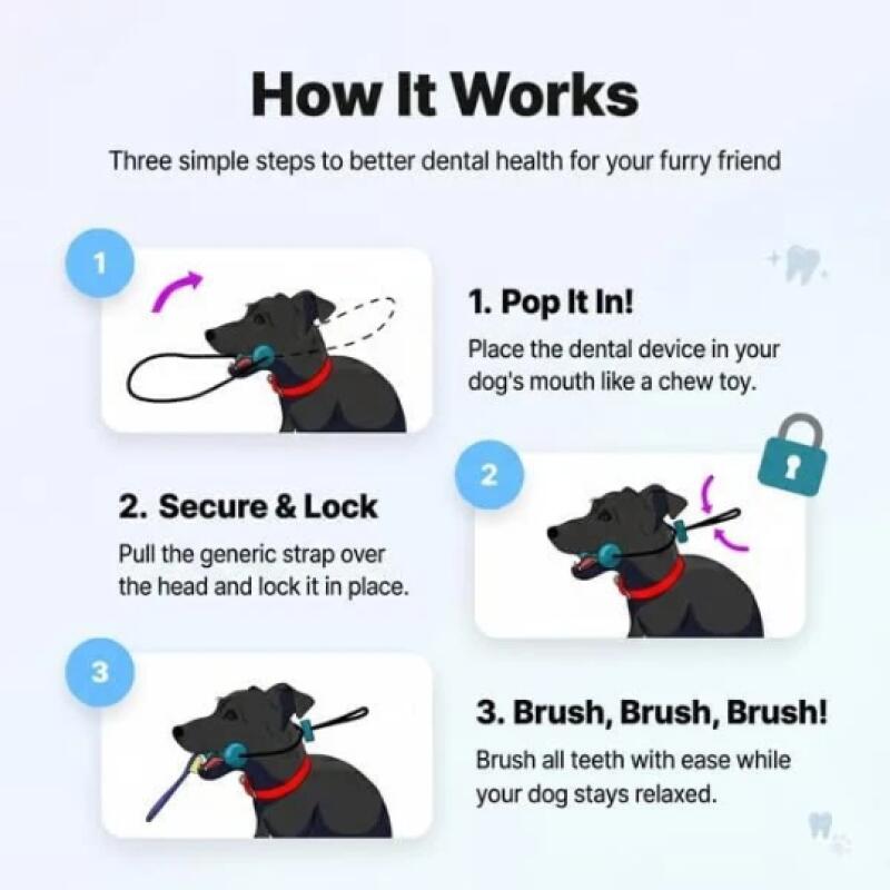 Bastoncino da Masticare per Ca - Pet Dental Chew Toy recensione e prezzo
