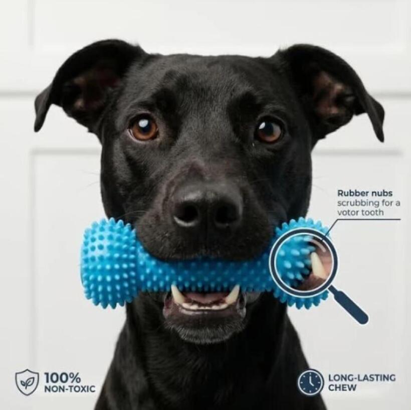 Bastoncino da Masticare per Ca - Pet Dental Chew Toy recensione e prezzo