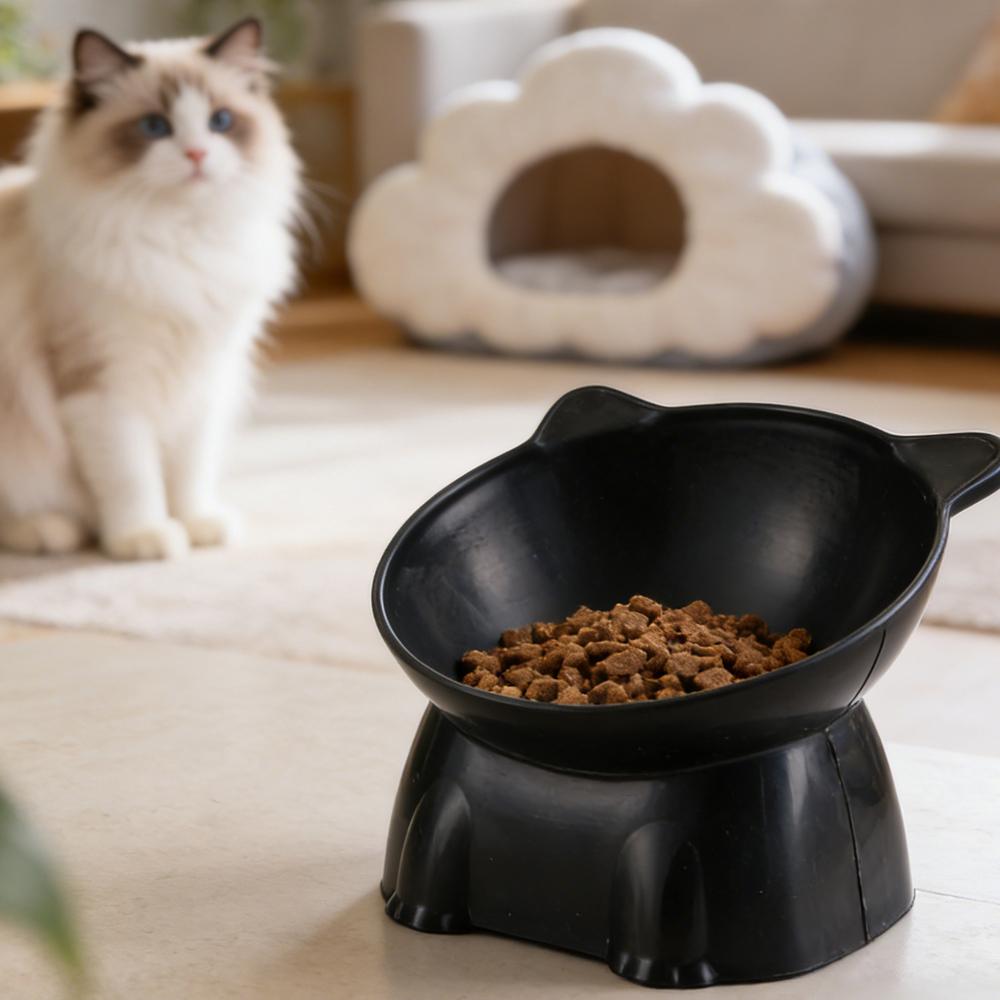 Ciotola per gatti nera Amazon, - Pet Supplies In Amazon recensione e prezzo