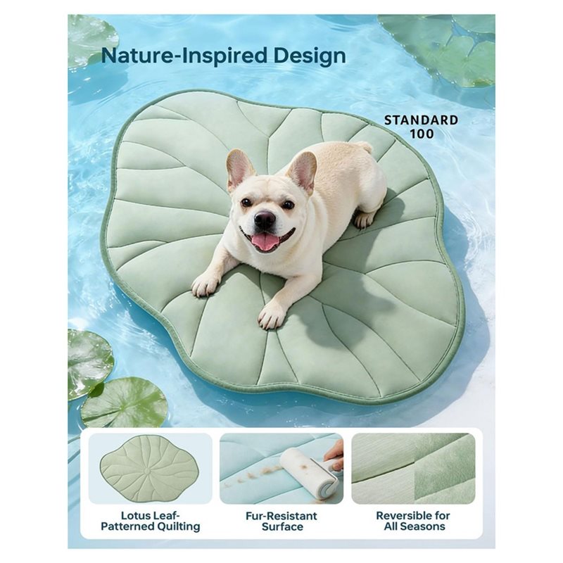 ABAE-Summer 2.0 Tappetino Refr - Pet Supplies Self Wash recensione e prezzo