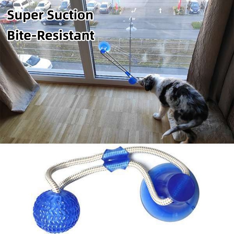 Giocattolo Interattivo per Can - Pet Dental Chew Toy recensione e prezzo
