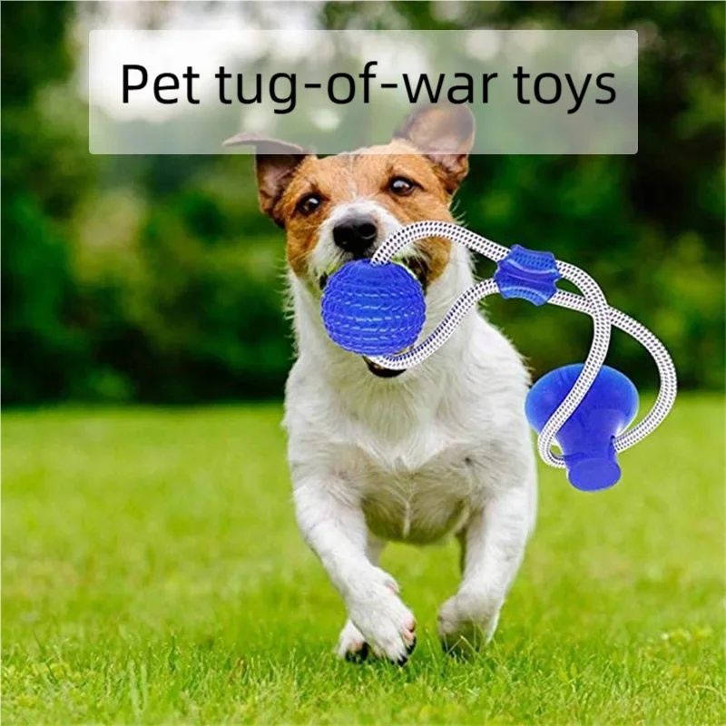 Giocattolo Interattivo per Can - Pet Dental Chew Toy recensione e prezzo
