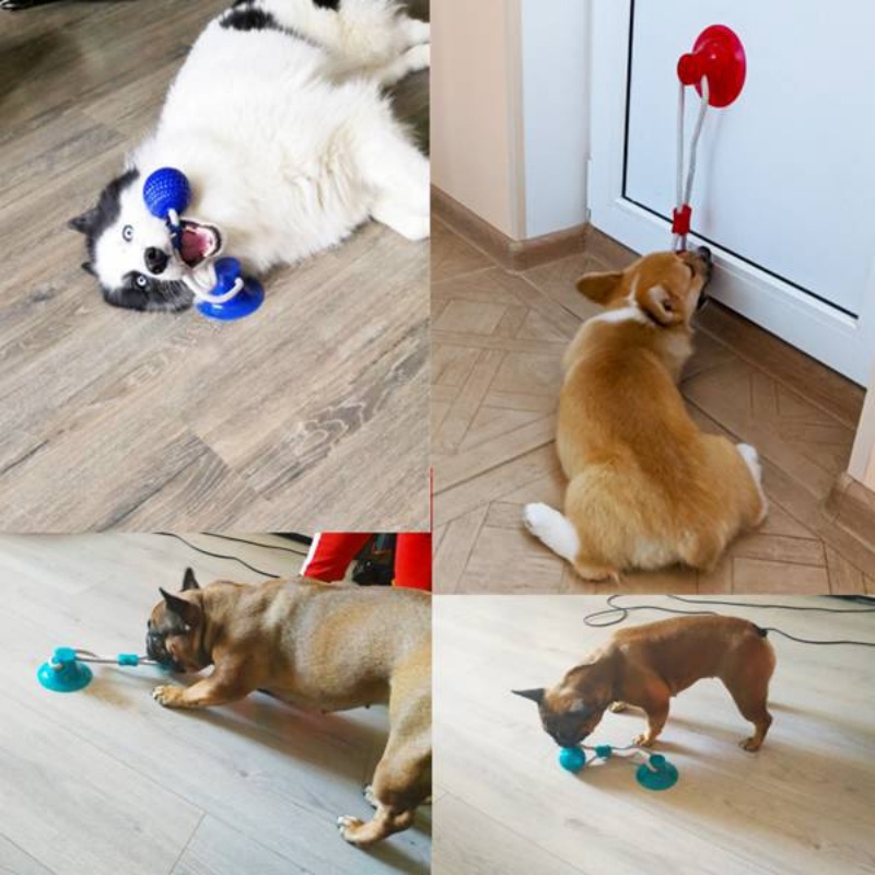 Giocattolo Interattivo per Can - Pet Dental Chew Toy recensione e prezzo