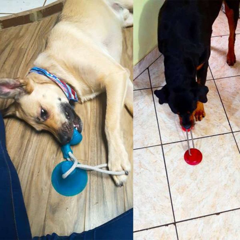 Giocattolo Interattivo per Can - Pet Dental Chew Toy recensione e prezzo