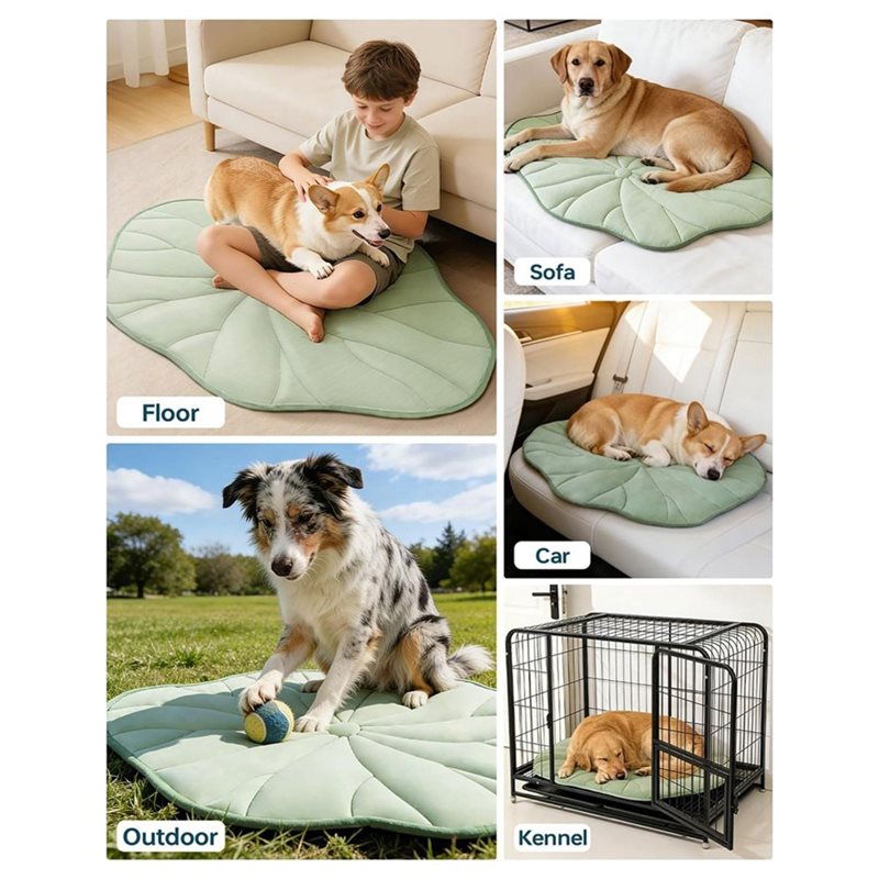 [NEWA08R】 Tappetino rinfrescan - Pet Supplies Self Wash recensione e prezzo