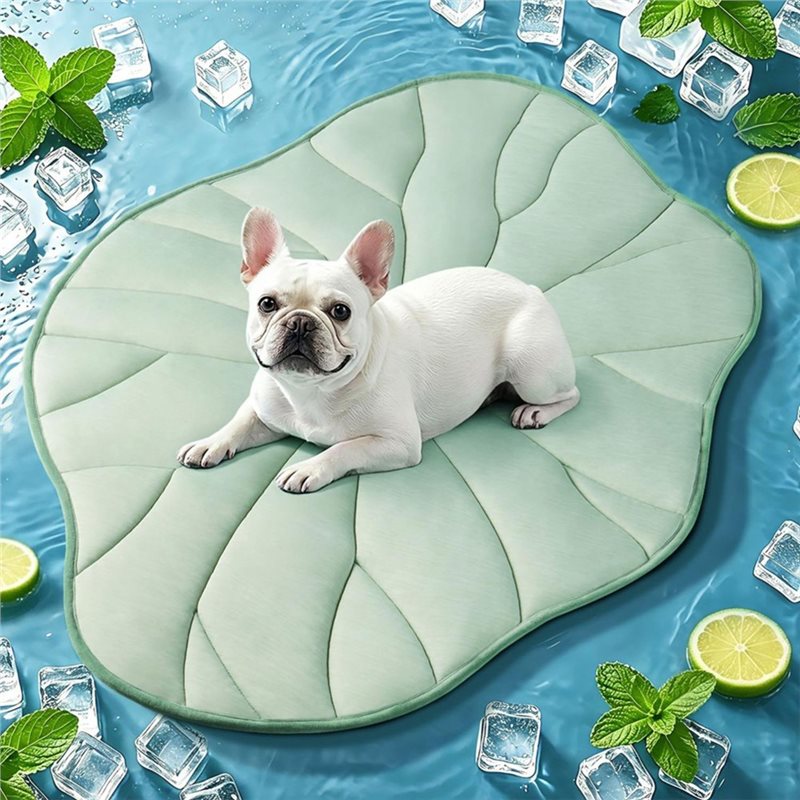 [NEWA08R】 Tappetino rinfrescan - Pet Supplies Self Wash recensione e prezzo