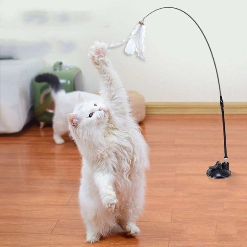 Nuovo potente bastoncino per s - Pet Supplies In Amazon recensione e prezzo