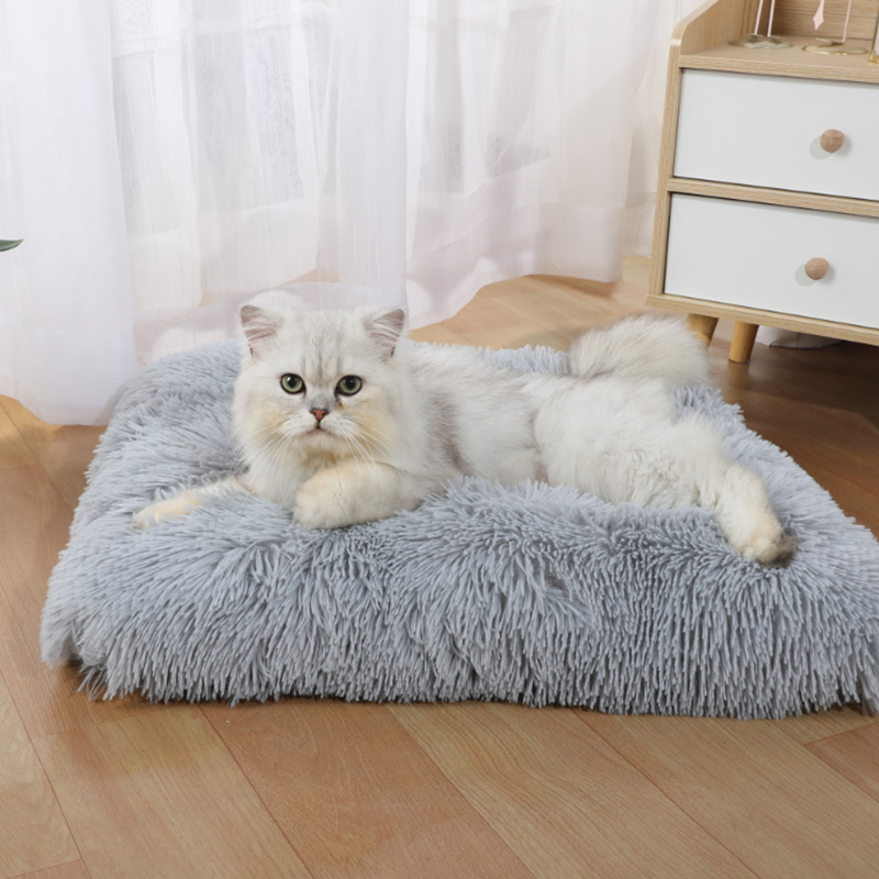 Cuccia per Animali Domestici A - Pet Supplies In Amazon recensione e prezzo