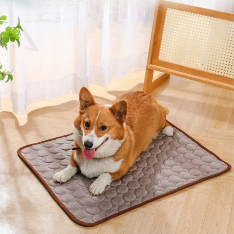 Tappetino rinfrescante estivo  - Pet Supplies Self Wash recensione e prezzo